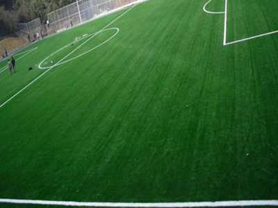 Lawn carpet