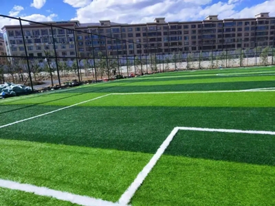 Sports venue football field artificial lawn