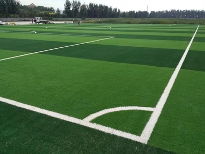 School mini football field artificial lawn